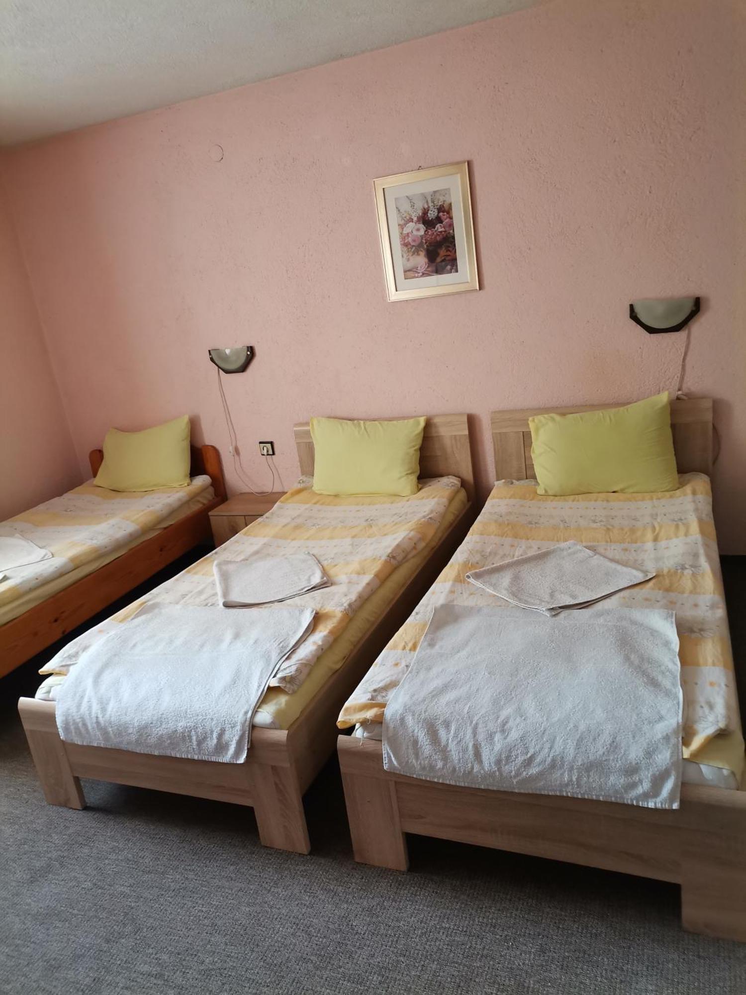 Family Hotel Santo Bansko Eksteriør billede