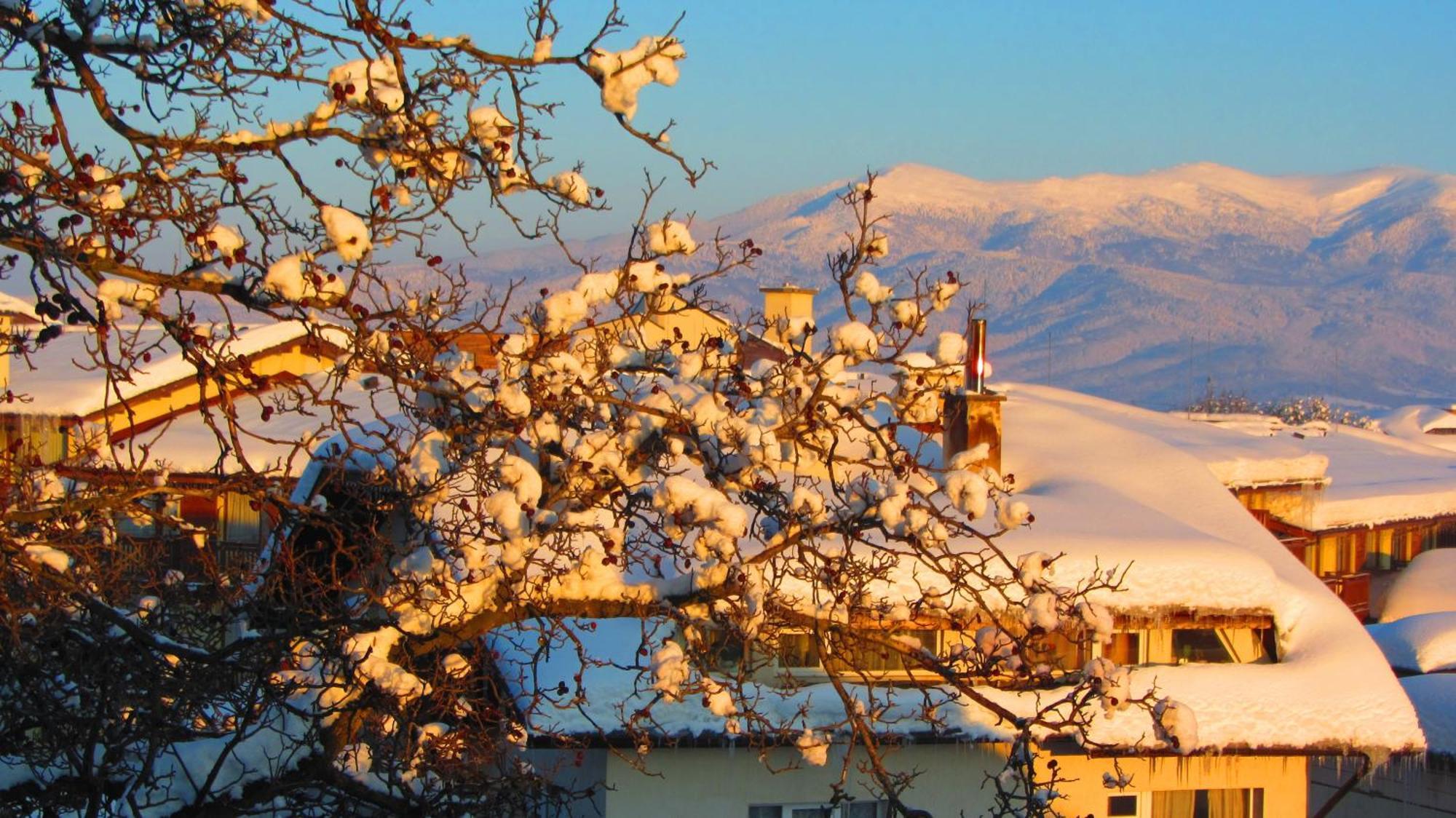 Family Hotel Santo Bansko Eksteriør billede